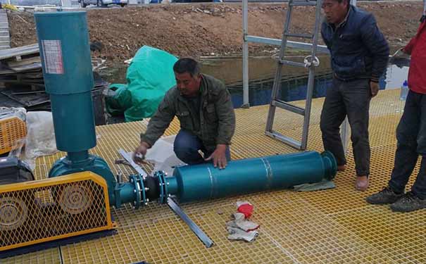 高压水冷罗茨午夜精品久久久久久久久久蜜桃