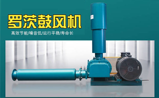 罗茨午夜精品久久久久久久久久蜜桃