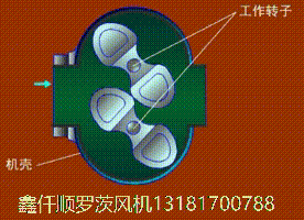 罗茨午夜精品久久久久久久久久蜜桃工作原理图文3d动动画图 罗茨午夜精品久久久久久久久久蜜桃工作原理图文3d动动画图