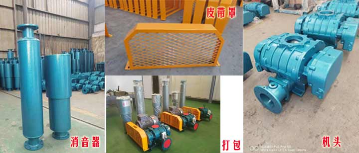 三叶罗茨午夜精品久久久久久久久久蜜桃（皮带型）实拍