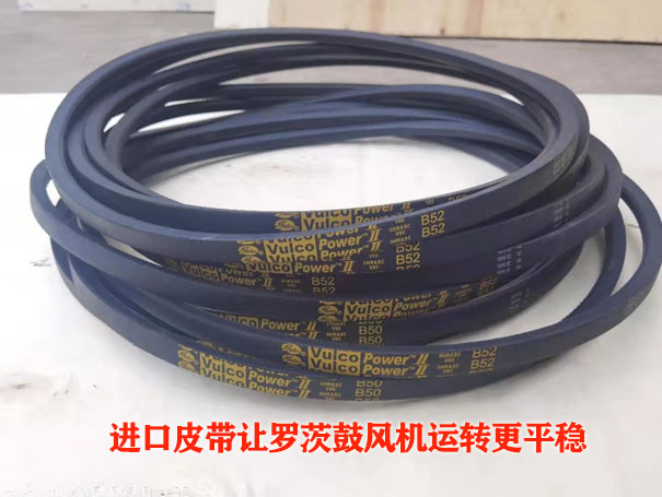 罗茨鼓午夜精品久久久久久久久久蜜桃皮带