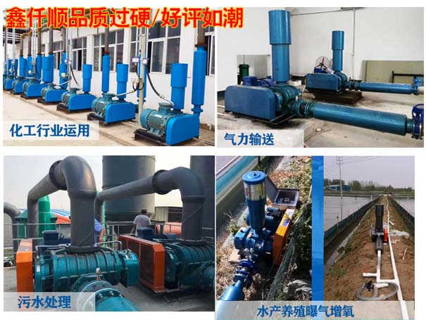 电镀厂用罗茨午夜精品久久久久久久久久蜜桃 电镀厂用罗茨午夜精品久久久久久久久久蜜桃