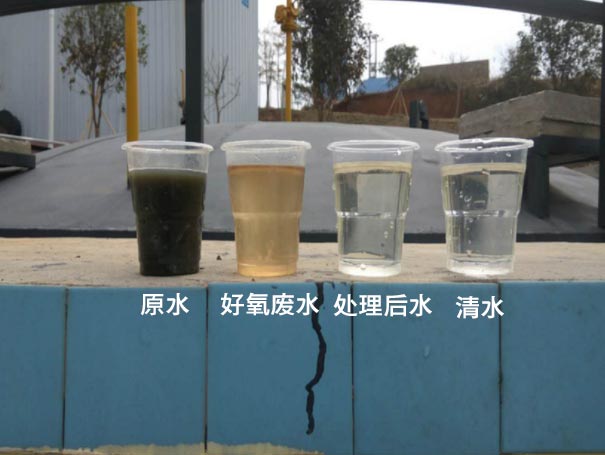 污水曝气罗茨鼓午夜精品久久久久久久久久蜜桃应用案例 污水曝气罗茨鼓午夜精品久久久久久久久久蜜桃应用案例