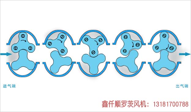 罗茨午夜精品久久久久久久久久蜜桃工作原理